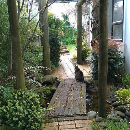 Secret Cottage Waitara المظهر الخارجي الصورة