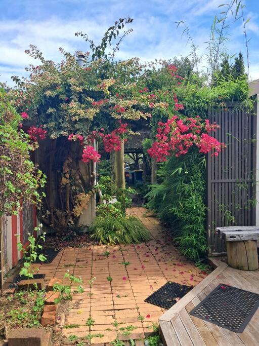Secret Cottage Waitara المظهر الخارجي الصورة