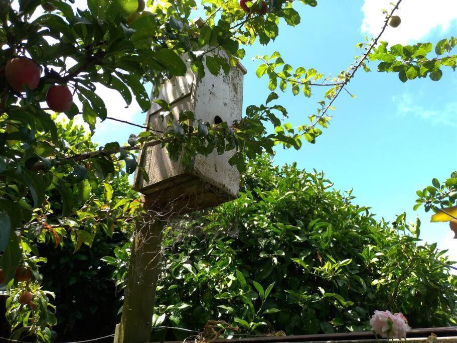 Secret Cottage Waitara المظهر الخارجي الصورة