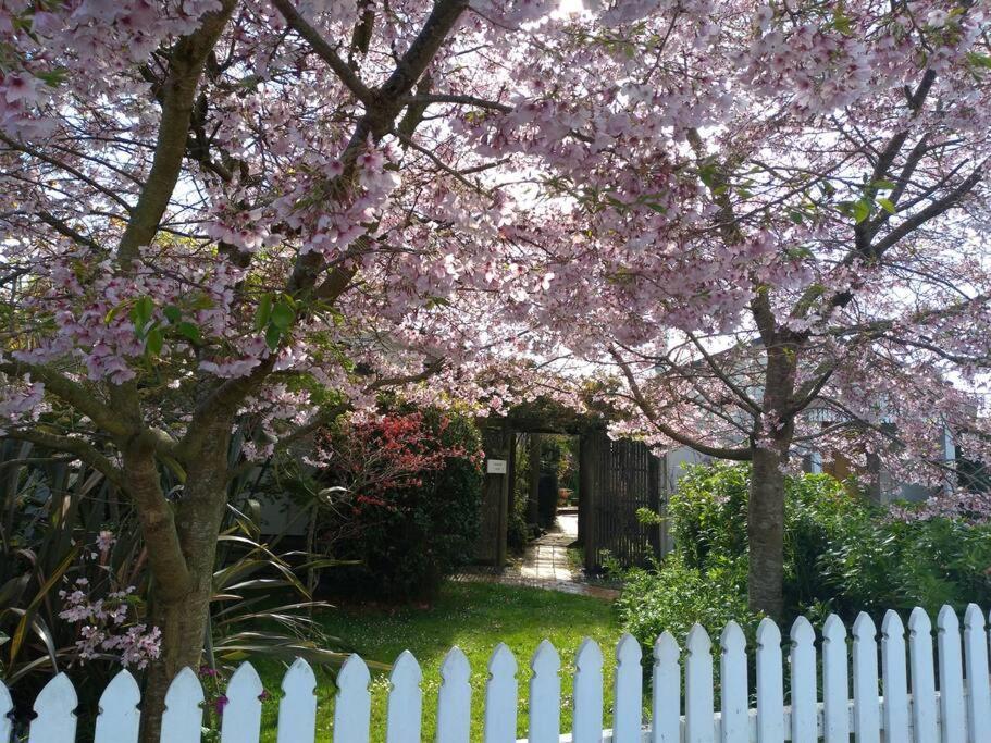 Secret Cottage Waitara المظهر الخارجي الصورة