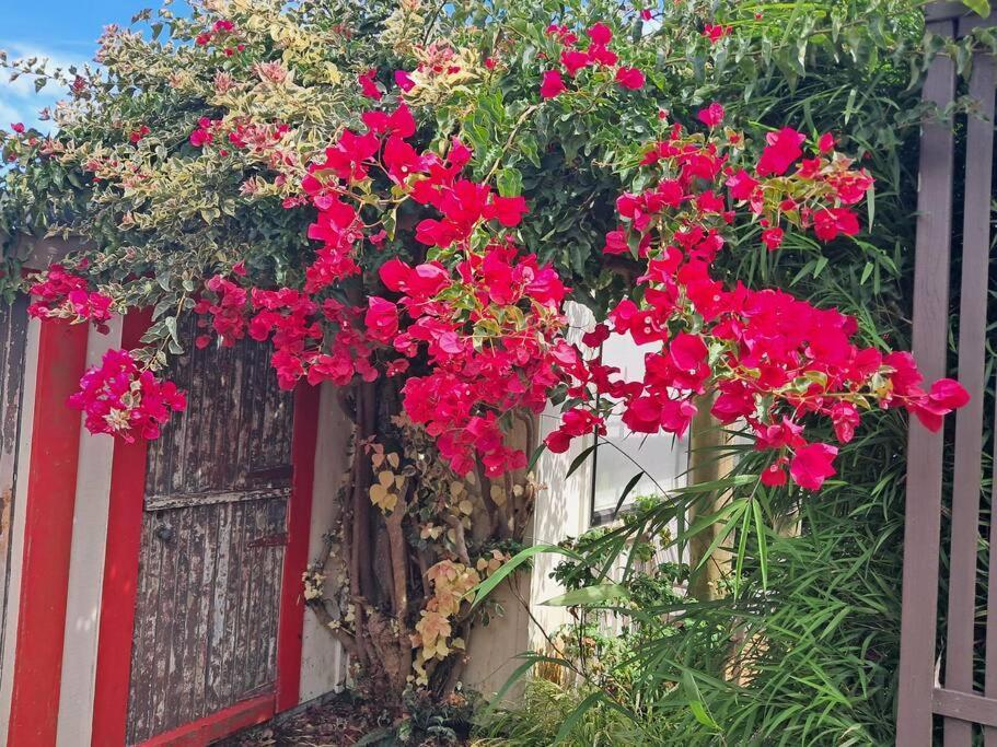 Secret Cottage Waitara المظهر الخارجي الصورة